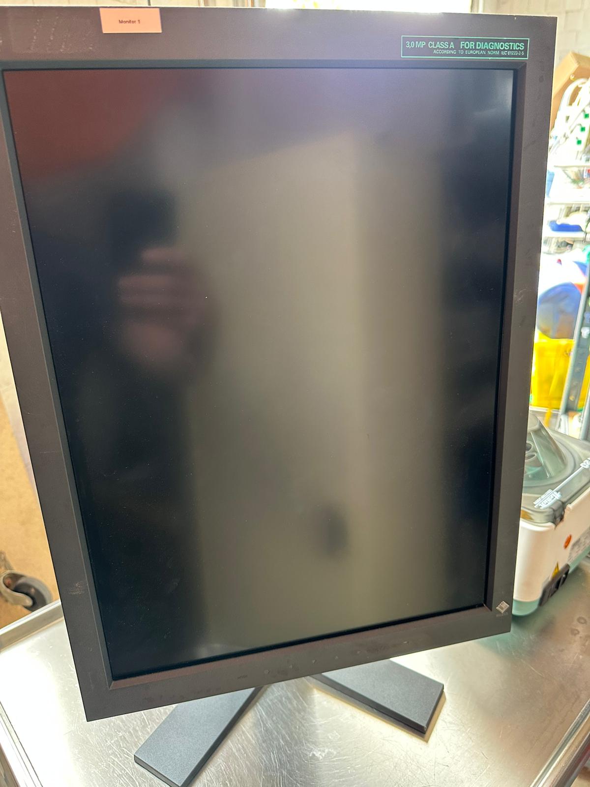 EIZO RadiForce GS310 Monitor